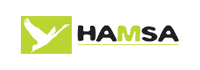 hamsa